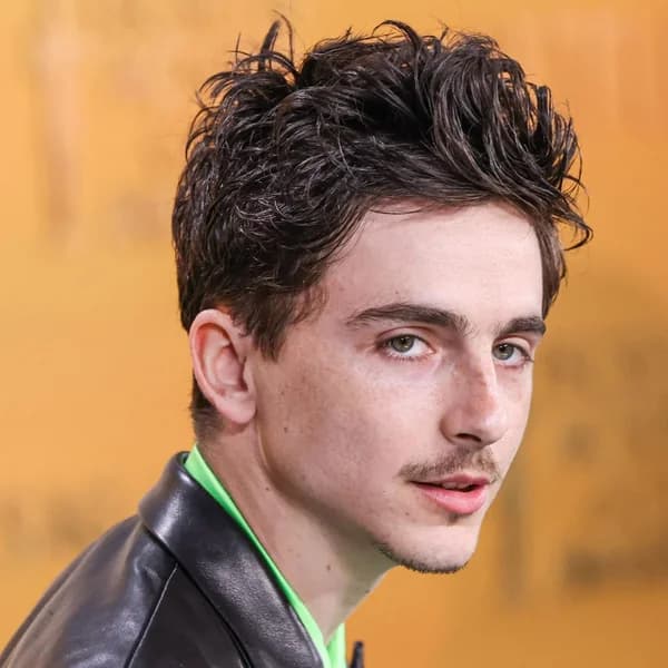 Timothée Chalamet · referencia